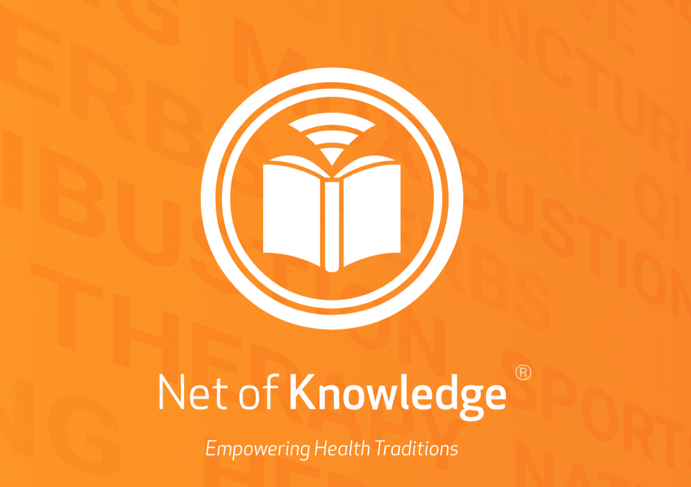 Net of Knowledge logo